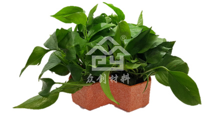 EPP花盆和園藝6